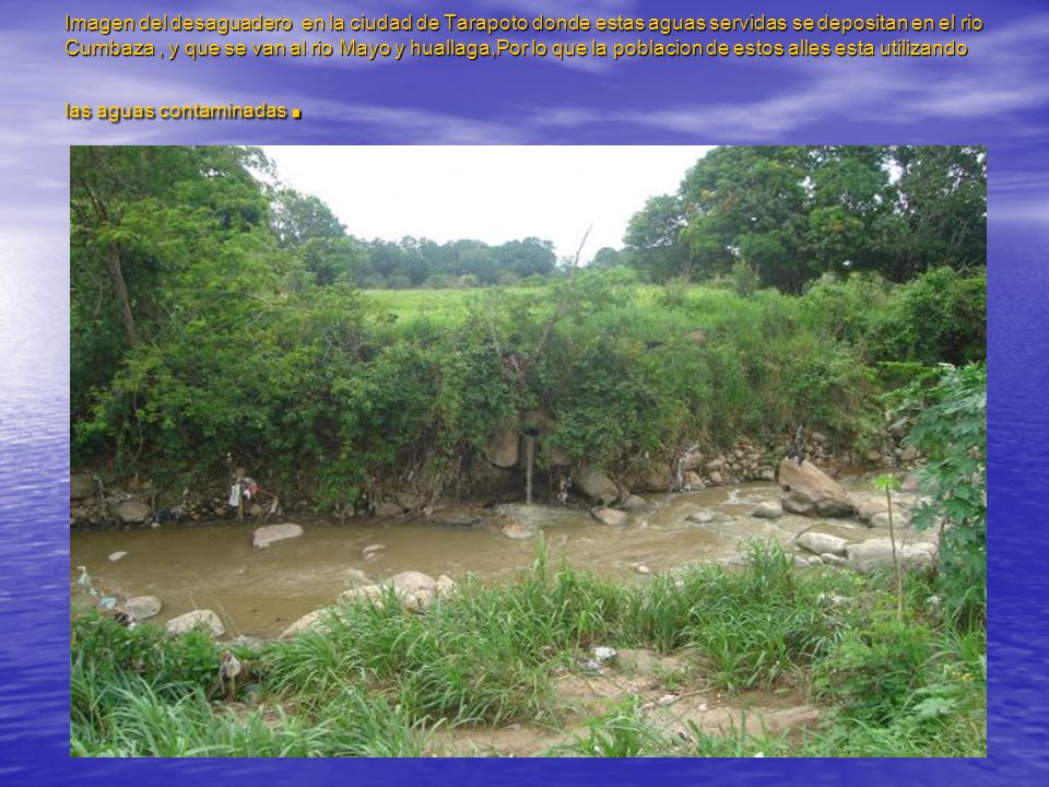Imagen del desaguadero en la ciudad de Tarapoto donde estas aguas servidas se depositan en el rio Cumbaza , y que se van al rio Mayo y huallaga,Por lo que la poblacion de estos alles esta utilizando las aguas contaminadas.