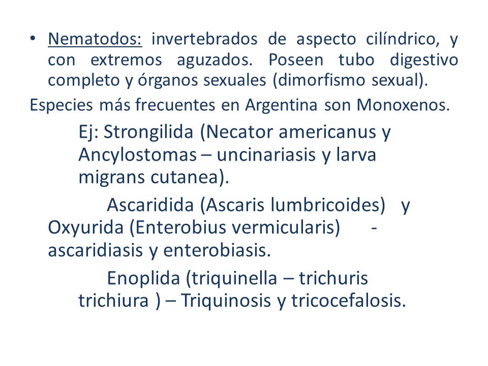 Nematodos: invertebrados de aspecto cilíndrico, y con extremos aguzados. Poseen tubo digestivo completo y órganos sexuales (dimorfismo sexual).