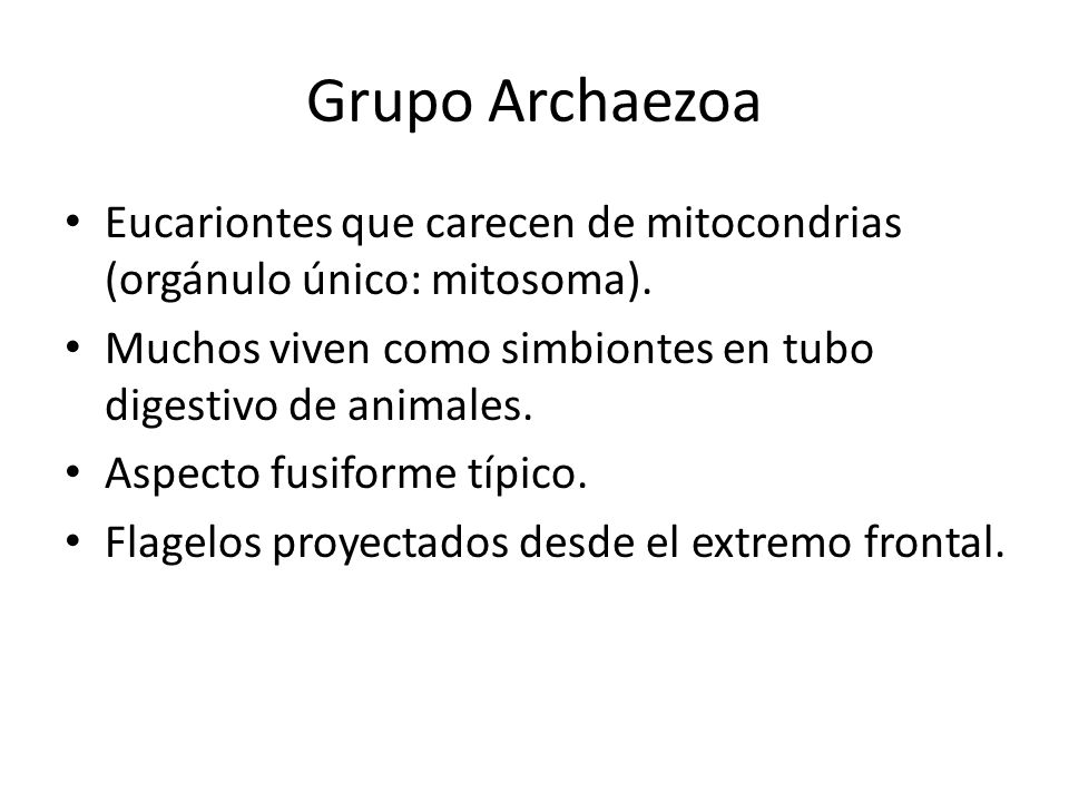 Grupo Archaezoa Eucariontes que carecen de mitocondrias (orgánulo único: mitosoma). Muchos viven como simbiontes en tubo digestivo de animales.