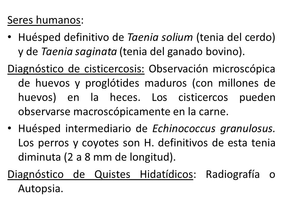 Seres humanos: Huésped definitivo de Taenia solium (tenia del cerdo) y de Taenia saginata (tenia del ganado bovino).