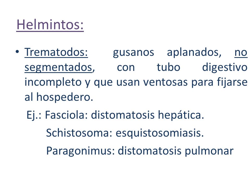 Helmintos: Trematodos: gusanos aplanados, no segmentados, con tubo digestivo incompleto y que usan ventosas para fijarse al hospedero.