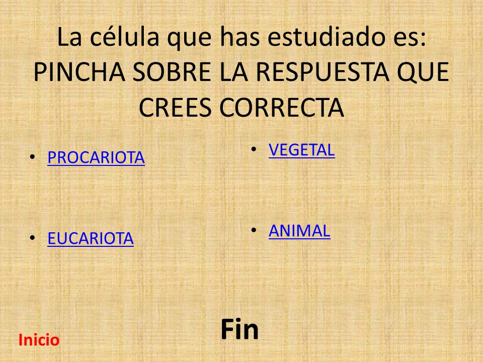 La célula que has estudiado es: PINCHA SOBRE LA RESPUESTA QUE CREES CORRECTA