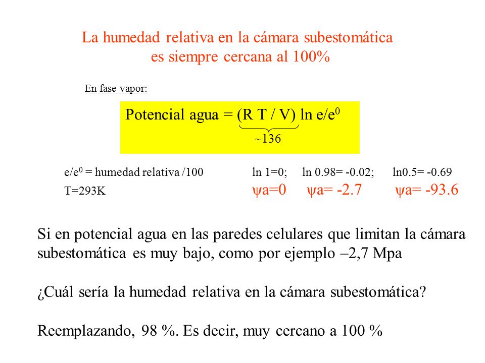 La humedad relativa en la cámara subestomática