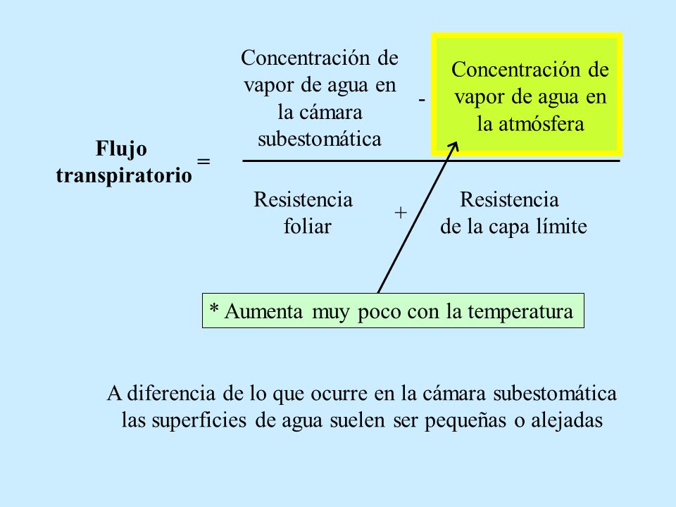 Concentración de vapor de agua en la cámara subestomática