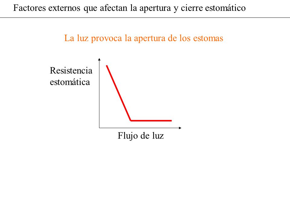 Factores externos que afectan la apertura y cierre estomático