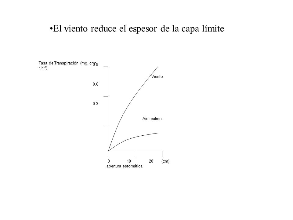 El viento reduce el espesor de la capa límite