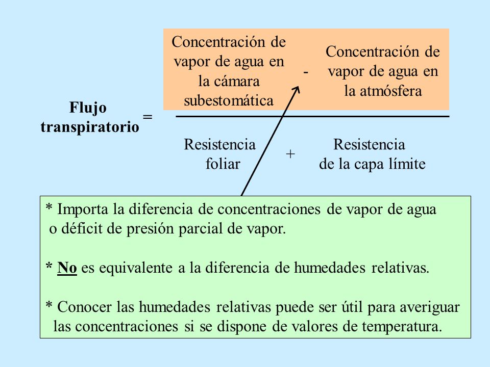 Concentración de vapor de agua en la cámara subestomática