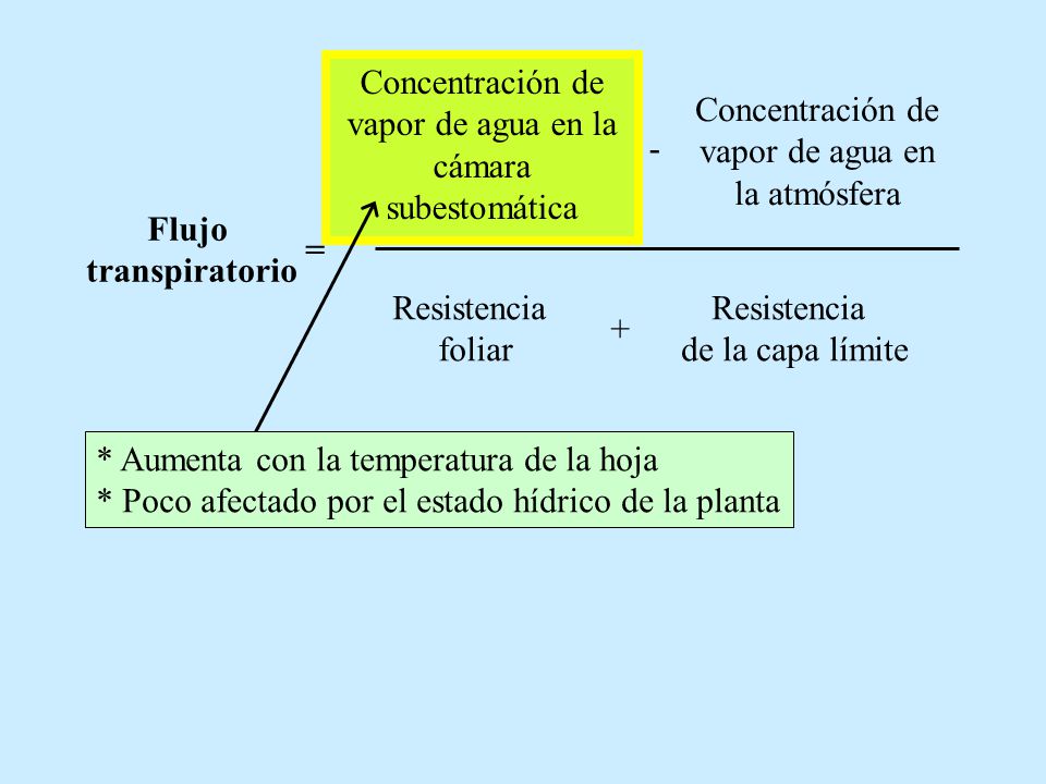 Concentración de vapor de agua en la cámara subestomática