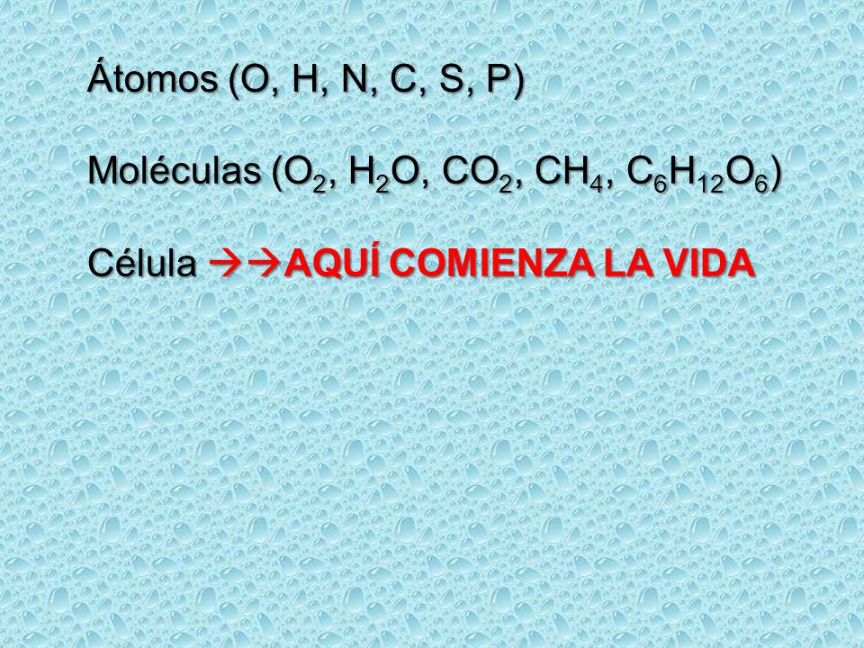 Átomos (O, H, N, C, S, P) Moléculas (O2, H2O, CO2, CH4, C6H12O6) Célula AQUÍ COMIENZA LA VIDA