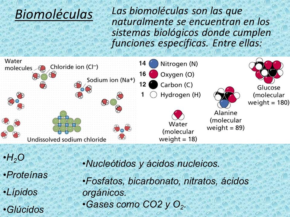 Biomoléculas Las biomoléculas son las que naturalmente se encuentran en los sistemas biológicos donde cumplen funciones específicas. Entre ellas:
