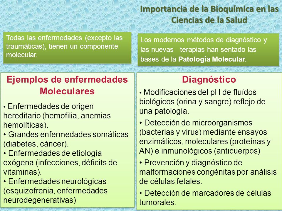 Importancia de la Bioquímica en las Ciencias de la Salud