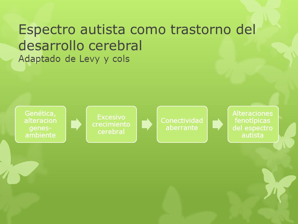 Espectro autista como trastorno del desarrollo cerebral Adaptado de Levy y cols