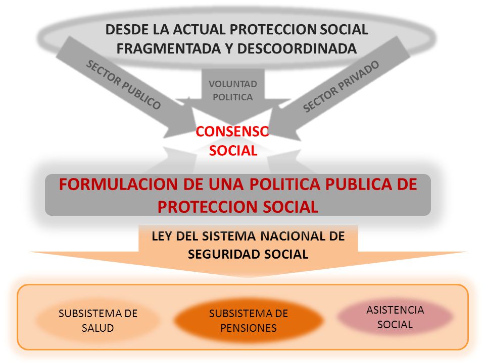 FORMULACION DE UNA POLITICA PUBLICA DE PROTECCION SOCIAL