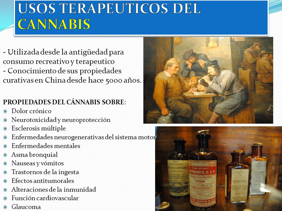 USOS TERAPEUTICOS DEL CANNABIS