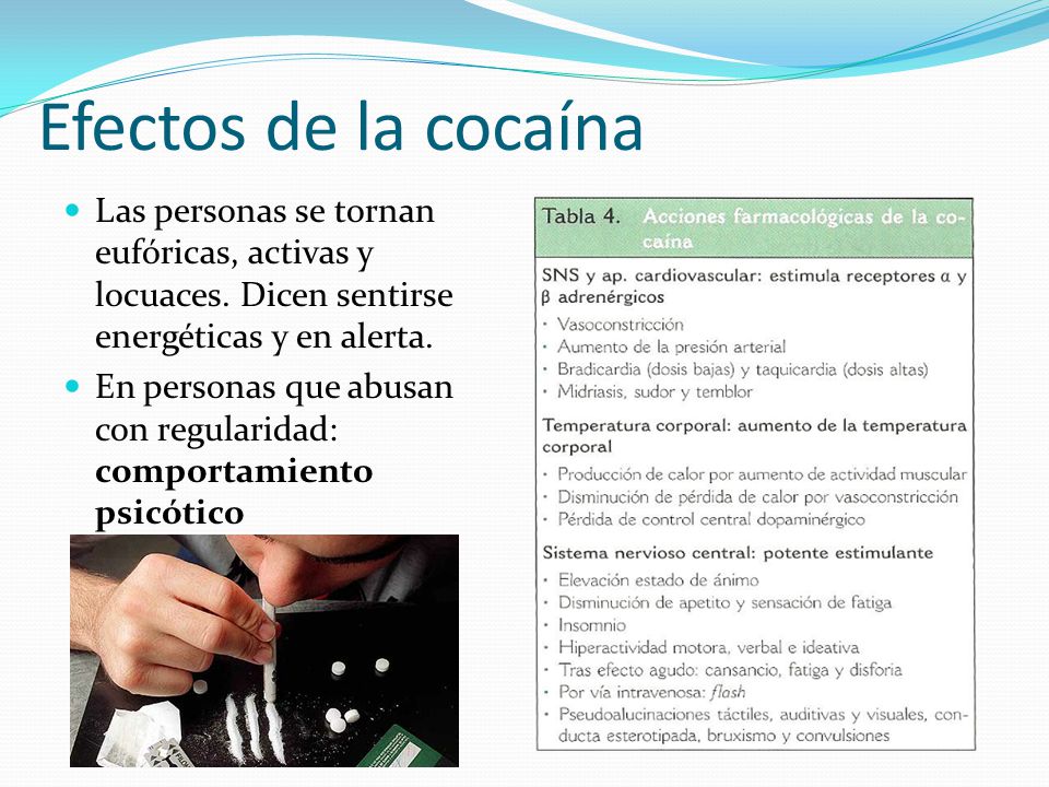 Efectos de la cocaína Las personas se tornan eufóricas, activas y locuaces. Dicen sentirse energéticas y en alerta.