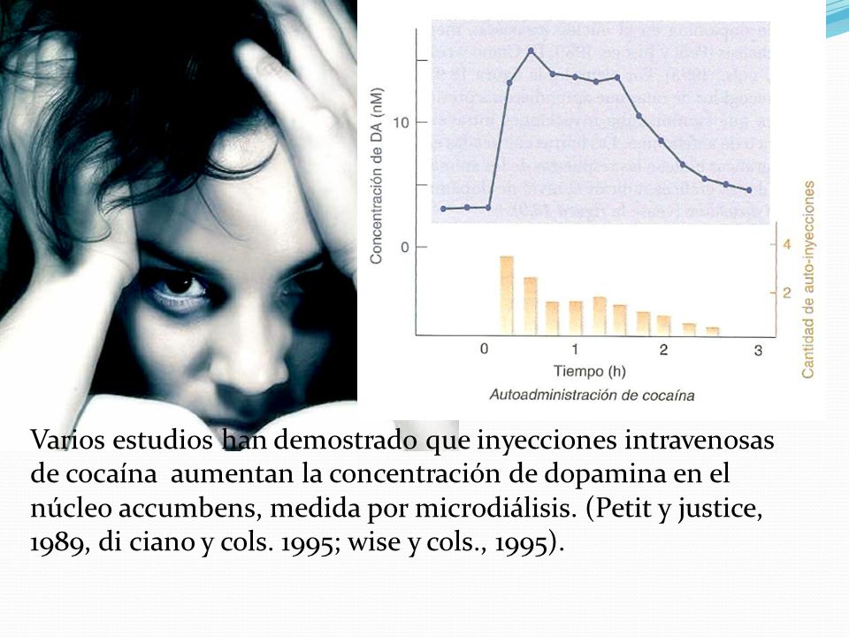 Varios estudios han demostrado que inyecciones intravenosas de cocaína aumentan la concentración de dopamina en el núcleo accumbens, medida por microdiálisis.