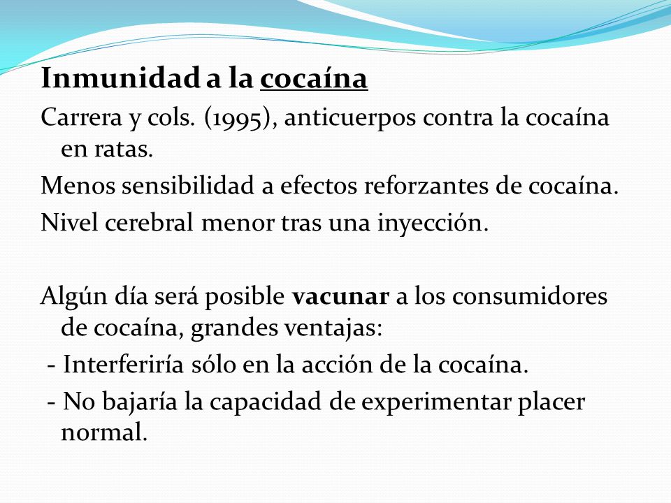 Inmunidad a la cocaína Carrera y cols. (1995), anticuerpos contra la cocaína en ratas. Menos sensibilidad a efectos reforzantes de cocaína.