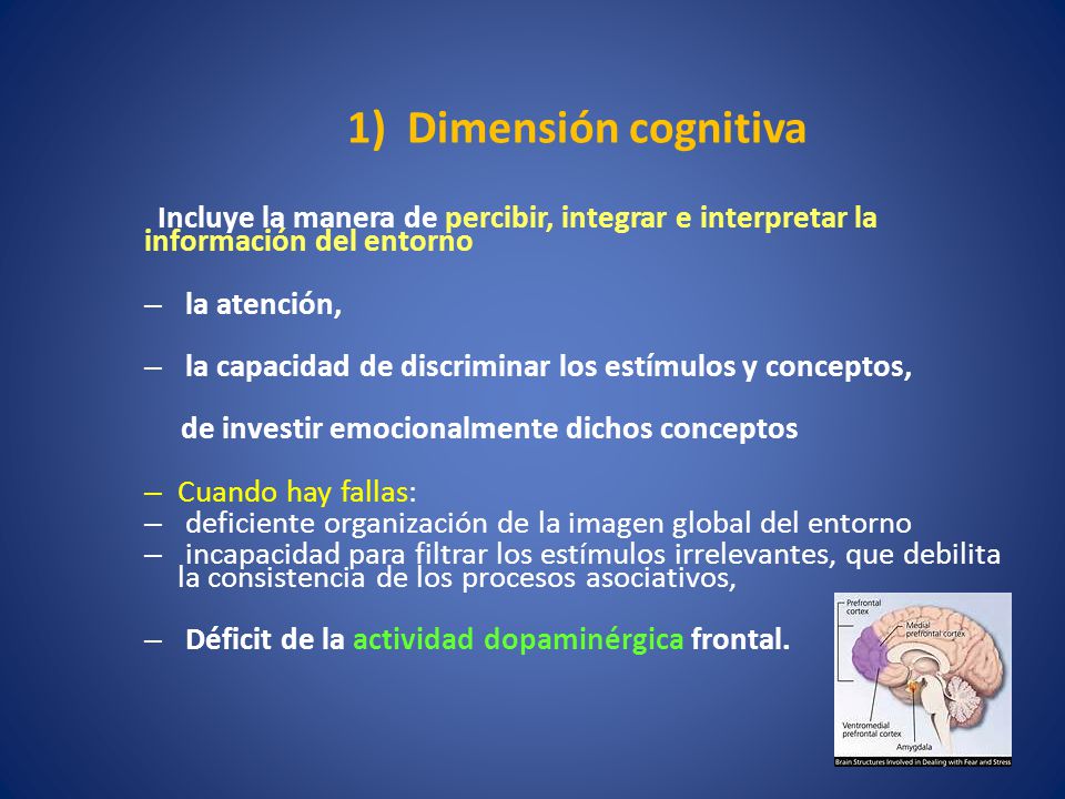 1) Dimensión cognitiva Incluye la manera de percibir, integrar e interpretar la información del entorno.