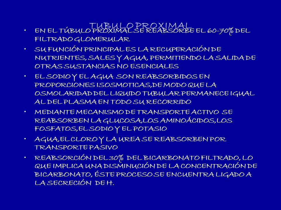 TUBULO PROXIMAL EN EL TÚBULO PROXIMAL SE REABSORBE EL 60-70% DEL FILTRADO GLOMERULAR.