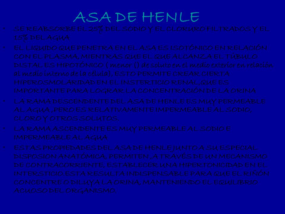 ASA DE HENLE SE REABSORBE EL 25% DEL SODIO Y EL CLORURO FILTRADOS Y EL 15% DEL AGUA.