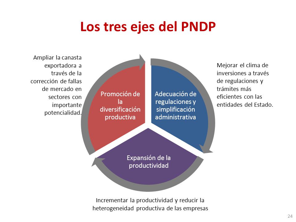 Los tres ejes del PNDP Adecuación de regulaciones y simplificación administrativa. Expansión de la productividad.
