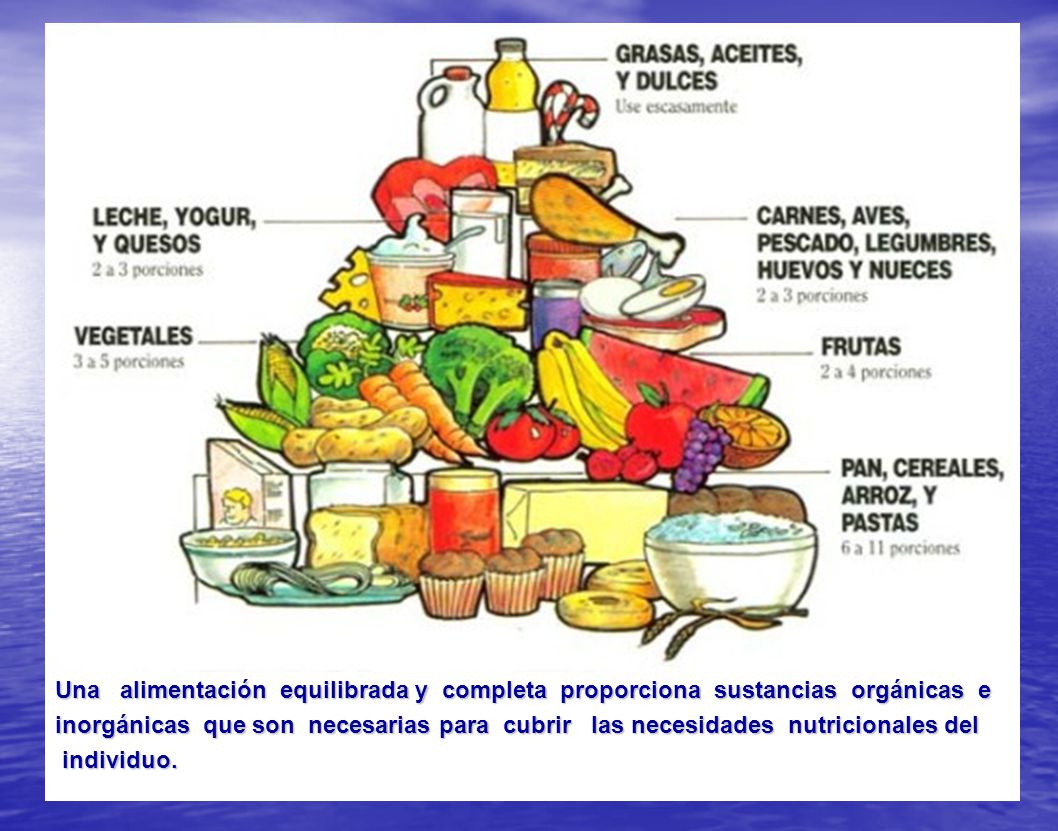 Una alimentación equilibrada y completa proporciona sustancias orgánicas e