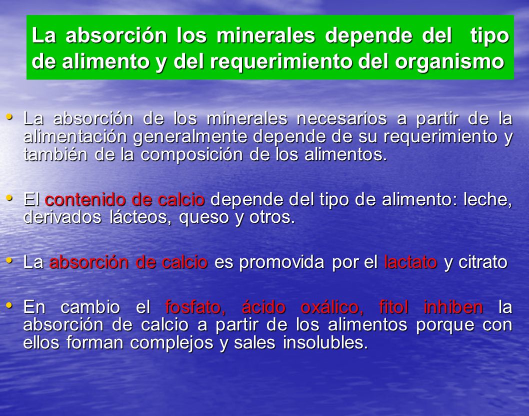 La absorción los minerales depende del tipo de alimento y del requerimiento del organismo