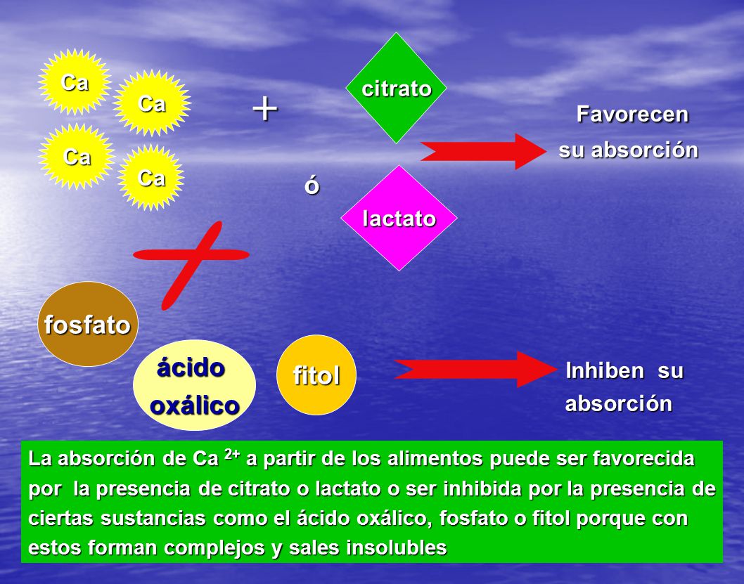 + Favorecen Inhiben su fosfato ácido fitol oxálico citrato Ca