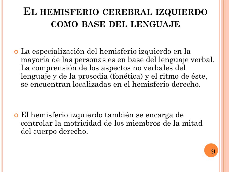 El hemisferio cerebral izquierdo como base del lenguaje