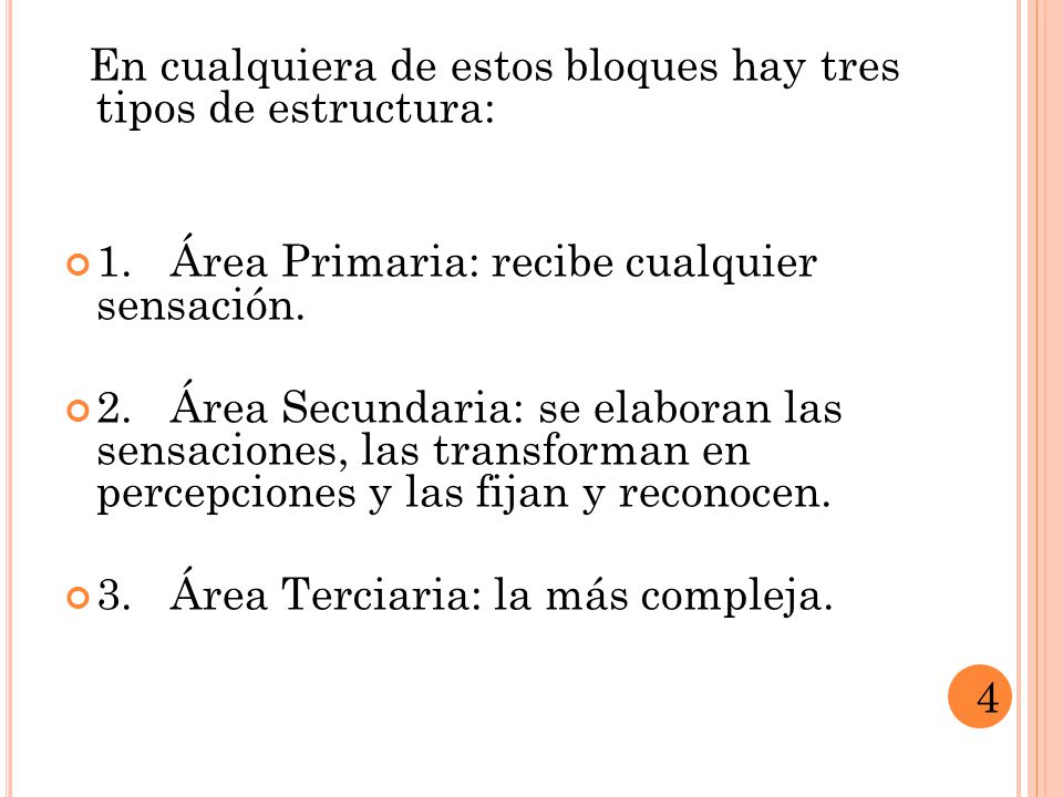 En cualquiera de estos bloques hay tres tipos de estructura:
