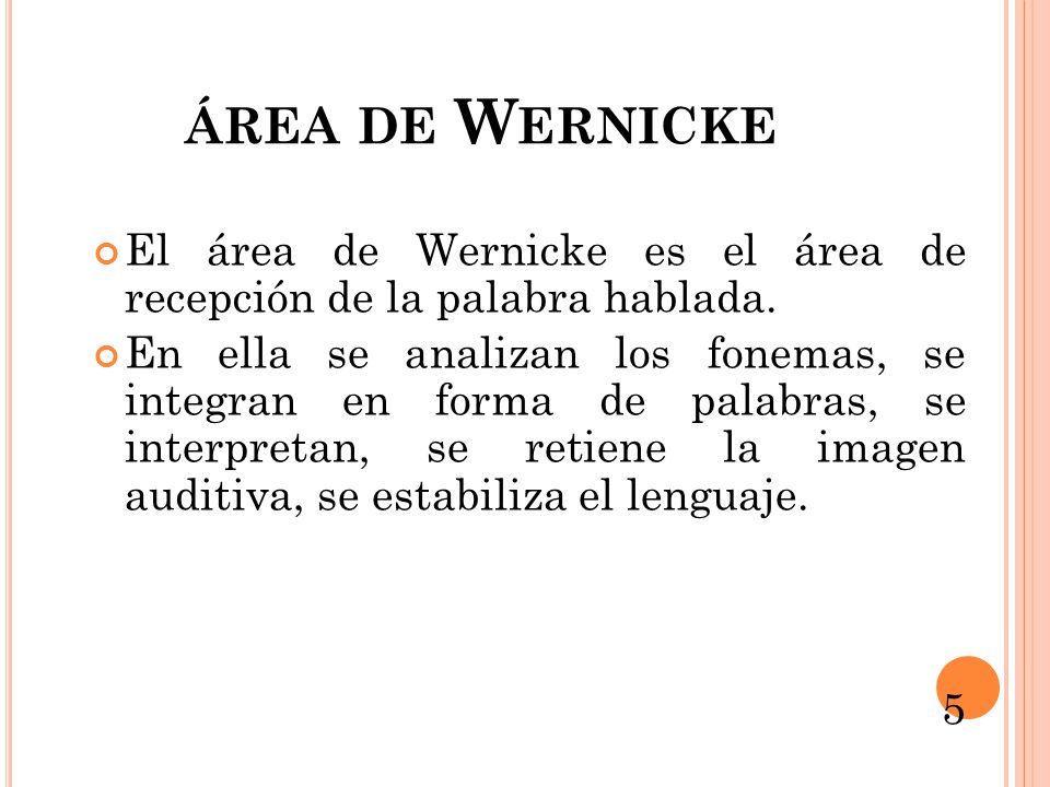 área de Wernicke El área de Wernicke es el área de recepción de la palabra hablada.