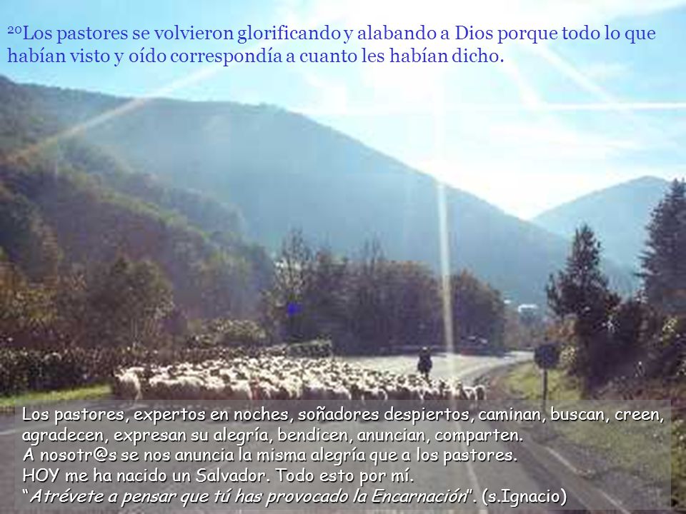 20Los pastores se volvieron glorificando y alabando a Dios porque todo lo que habían visto y oído correspondía a cuanto les habían dicho.