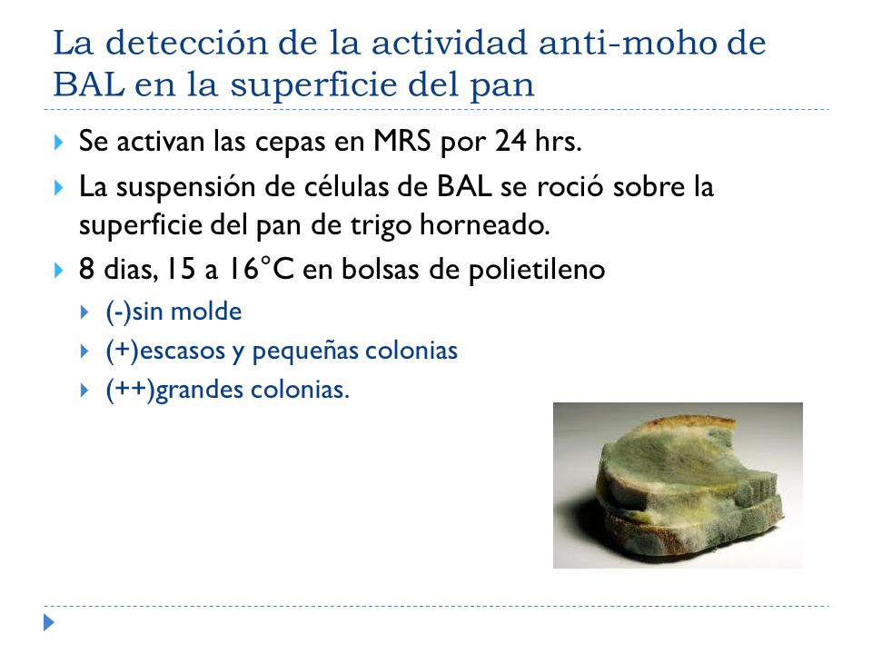 La detección de la actividad anti-moho de BAL en la superficie del pan