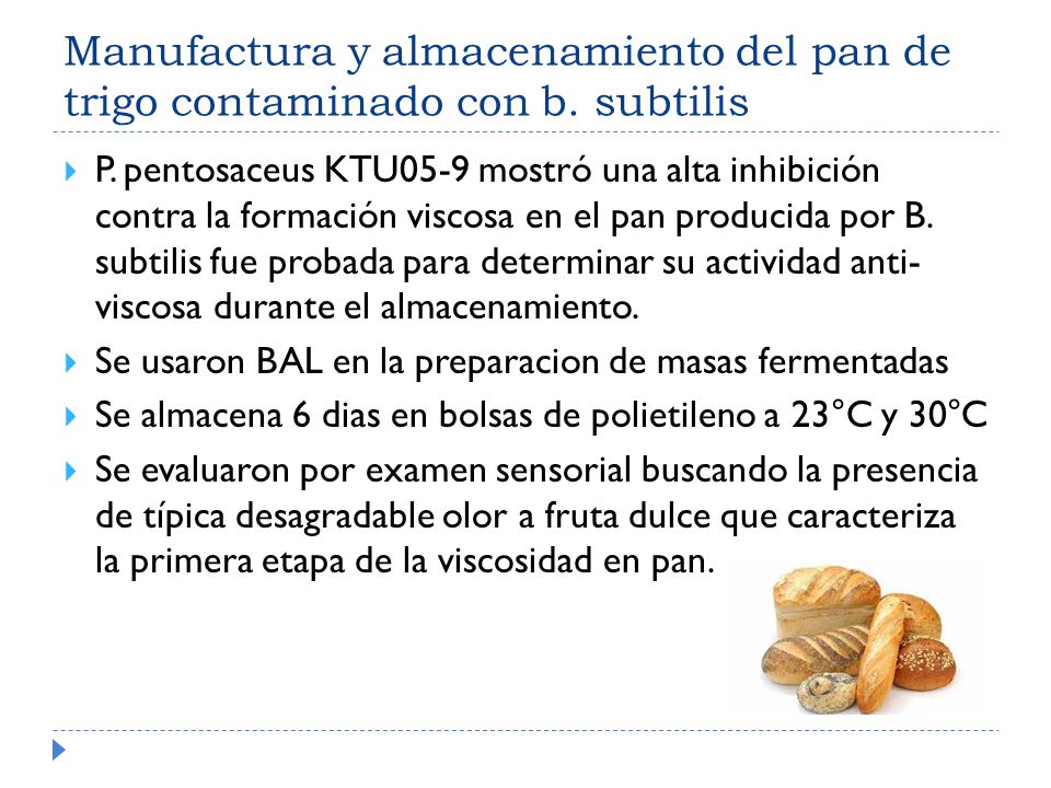 Manufactura y almacenamiento del pan de trigo contaminado con b
