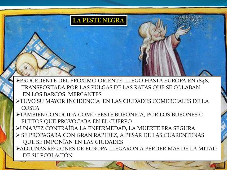 LA PESTE NEGRA PROCEDENTE DEL PRÓXIMO ORIENTE, LLEGÓ HASTA EUROPA EN 1848, TRANSPORTADA POR LAS PULGAS DE LAS RATAS QUE SE COLABAN.