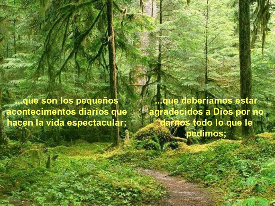 ...que son los pequeños acontecimentos diarios que hacen la vida espectacular;