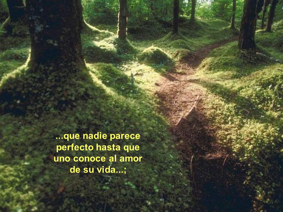 ...que nadie parece perfecto hasta que uno conoce al amor de su vida...;