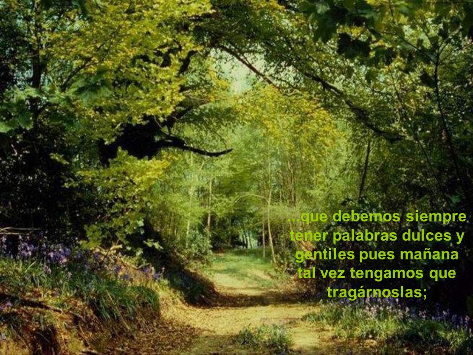 ...que debemos siempre tener palabras dulces y gentiles pues mañana tal vez tengamos que tragárnoslas;
