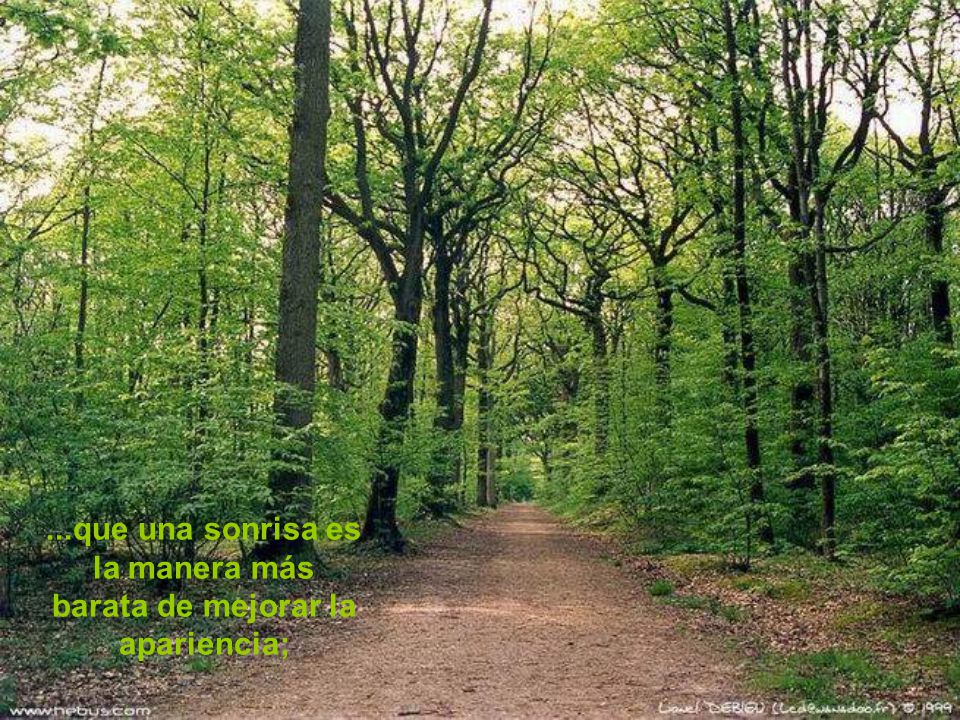 ...que una sonrisa es la manera más barata de mejorar la apariencia;