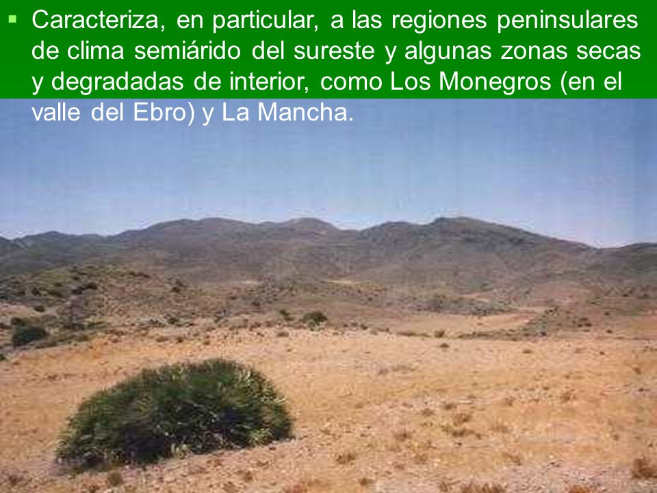 Caracteriza, en particular, a las regiones peninsulares de clima semiárido del sureste y algunas zonas secas y degradadas de interior, como Los Monegros (en el valle del Ebro) y La Mancha.
