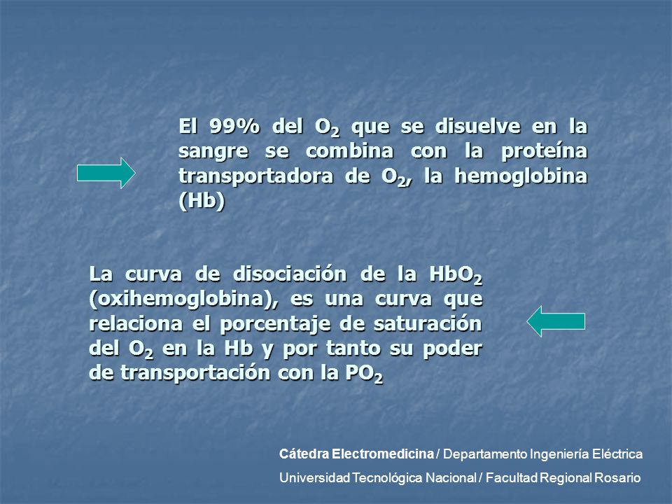 El 99% del O2 que se disuelve en la sangre se combina con la proteína transportadora de O2, la hemoglobina (Hb)