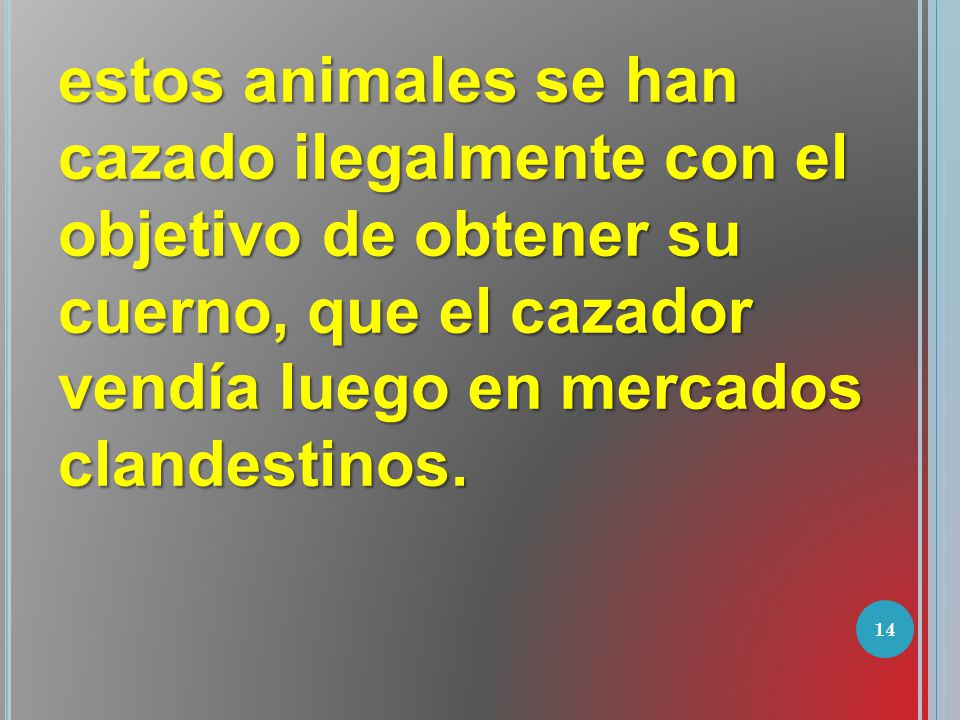 estos animales se han cazado ilegalmente con el objetivo de obtener su cuerno, que el cazador vendía luego en mercados clandestinos.