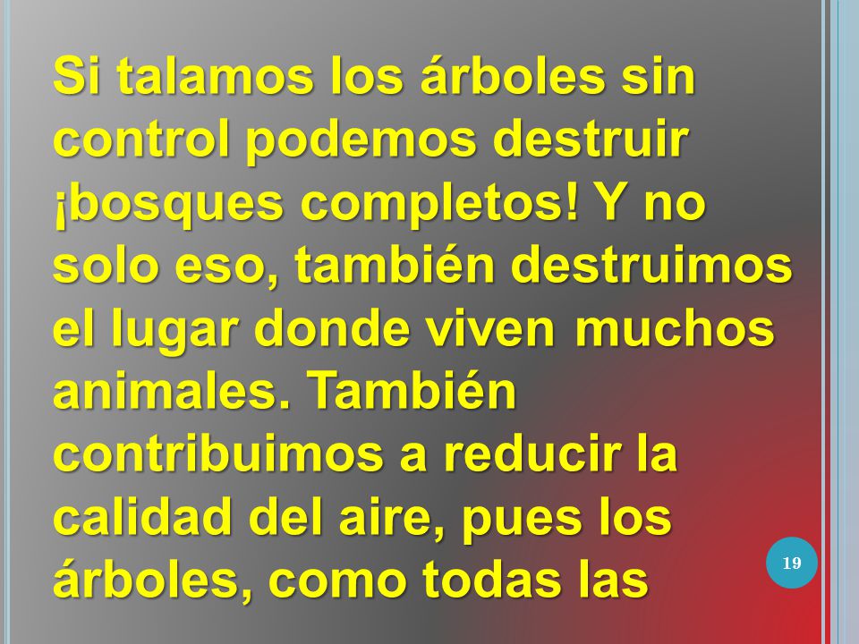 Si talamos los árboles sin control podemos destruir ¡bosques completos