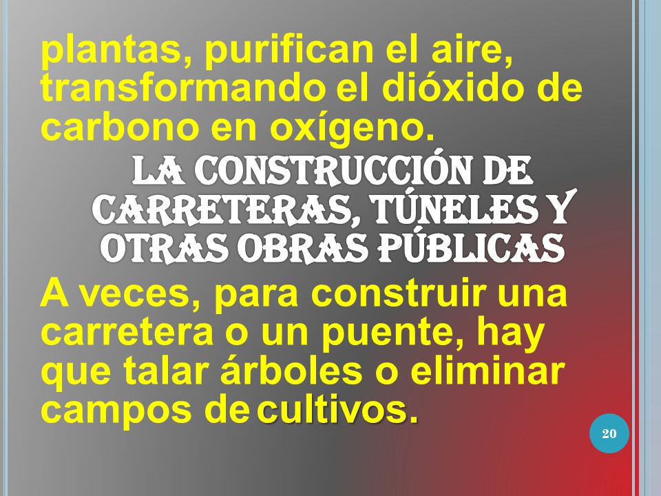 plantas, purifican el aire, transformando el dióxido de carbono en oxígeno.