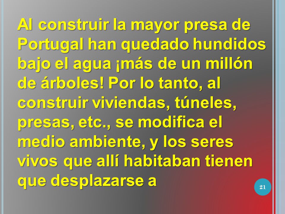Al construir la mayor presa de Portugal han quedado hundidos bajo el agua ¡más de un millón de árboles.