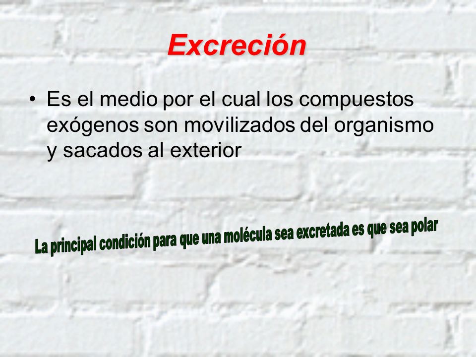 Excreción Es el medio por el cual los compuestos exógenos son movilizados del organismo y sacados al exterior.