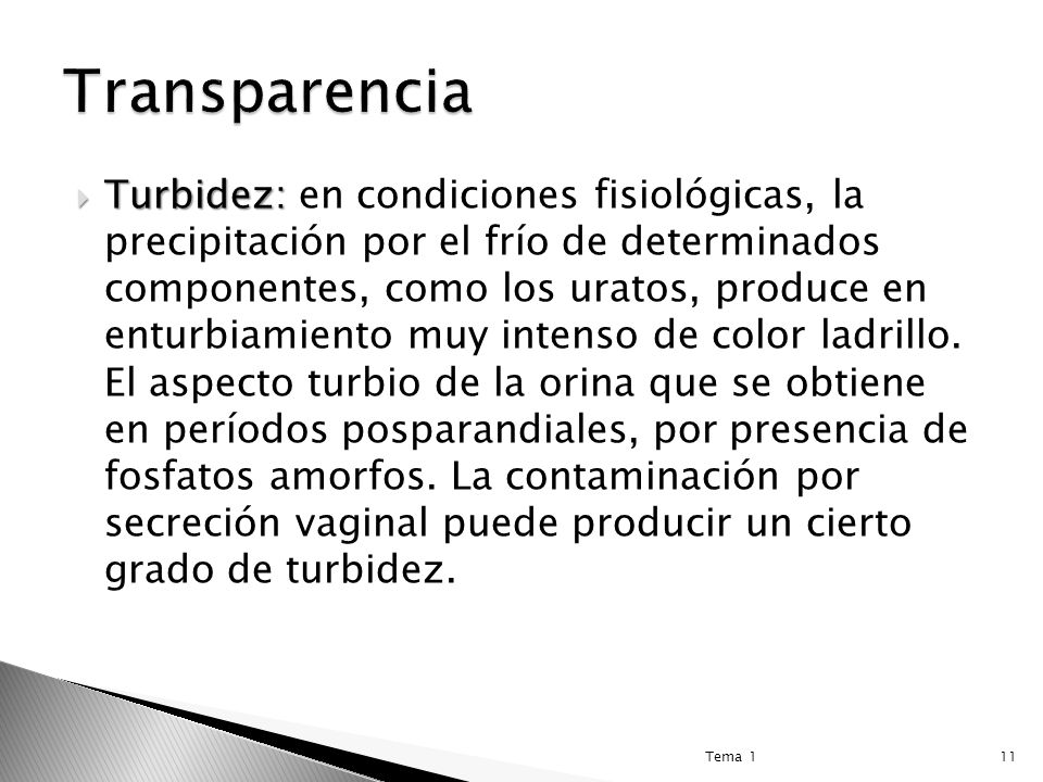 Transparencia