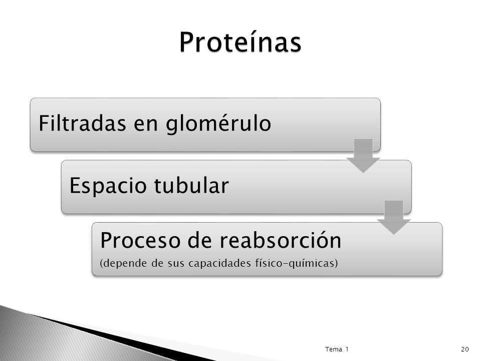 Proteínas Filtradas en glomérulo. Espacio tubular. Proceso de reabsorción (depende de sus capacidades físico-químicas)