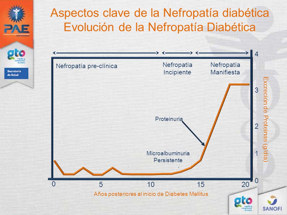 Aspectos clave de la Nefropatía diabética Evolución de la Nefropatía Diabética