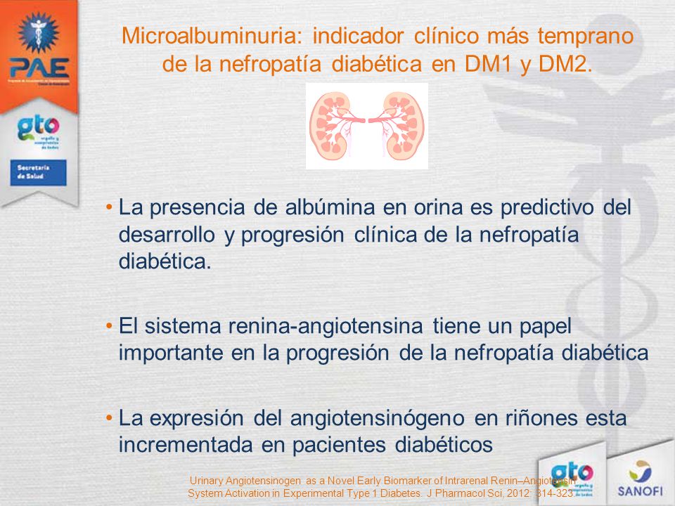 Microalbuminuria: indicador clínico más temprano de la nefropatía diabética en DM1 y DM2.